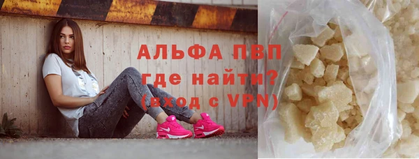 прущие грибы Горно-Алтайск