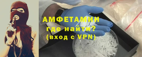 прущие грибы Горно-Алтайск