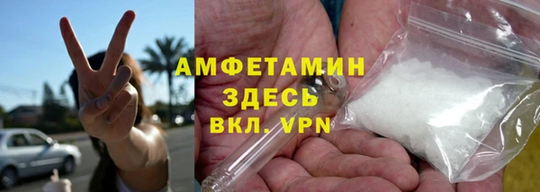прущие грибы Горно-Алтайск