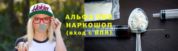 прущие грибы Горно-Алтайск
