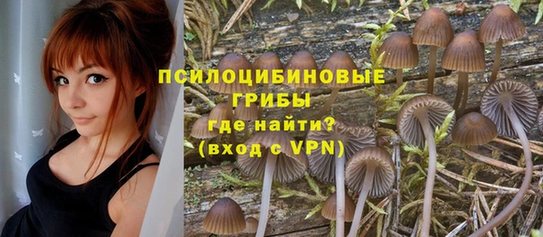 прущие грибы Горно-Алтайск
