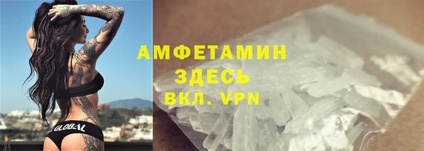 прущие грибы Горно-Алтайск