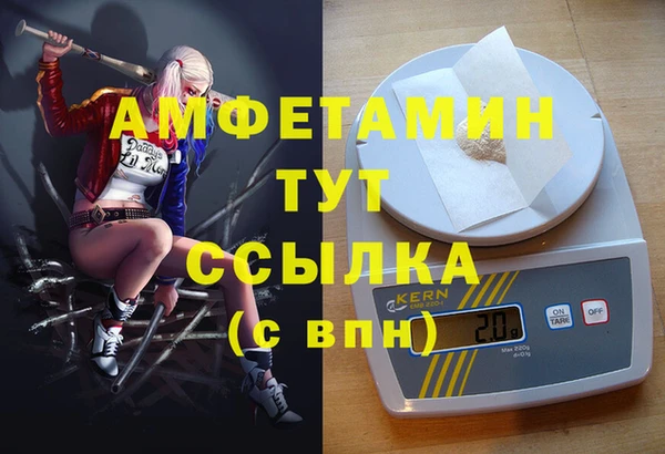 прущие грибы Горно-Алтайск