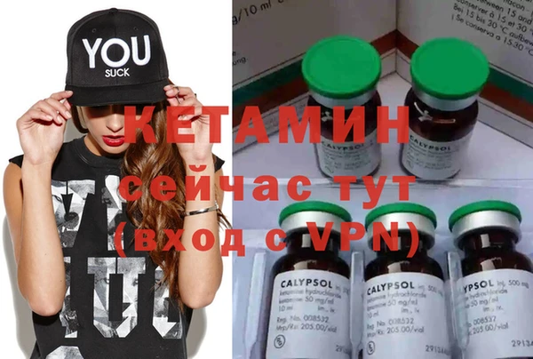 прущие грибы Горно-Алтайск