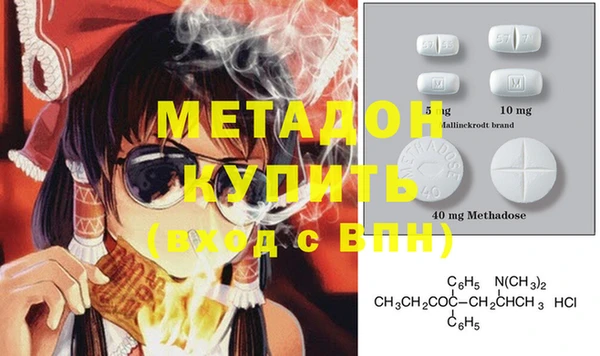 прущие грибы Горно-Алтайск