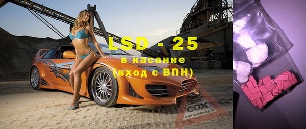 прущие грибы Горно-Алтайск