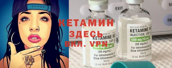 прущие грибы Горно-Алтайск
