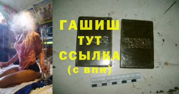 прущие грибы Горно-Алтайск